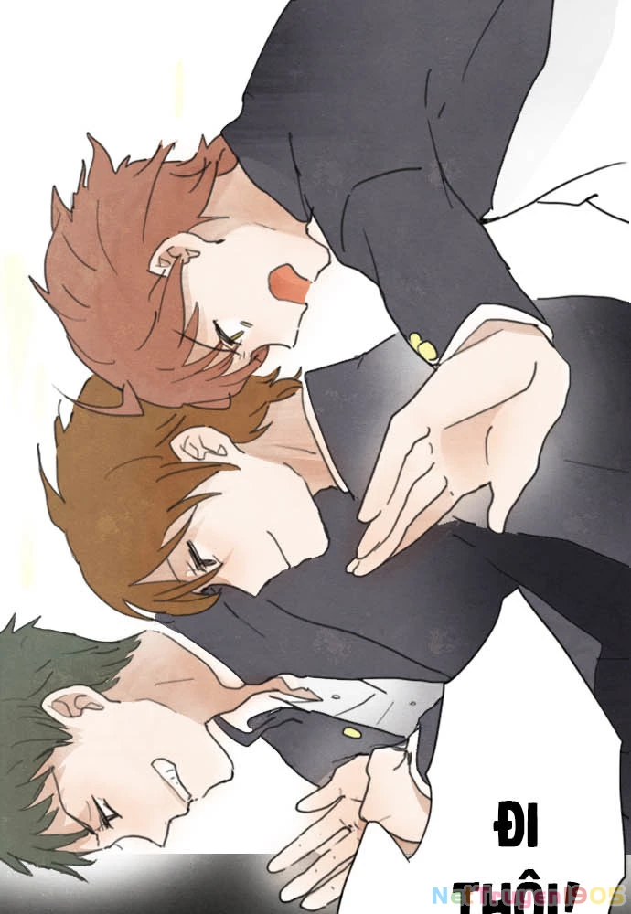 Hoa Cánh Sao Chapter 2 - 23