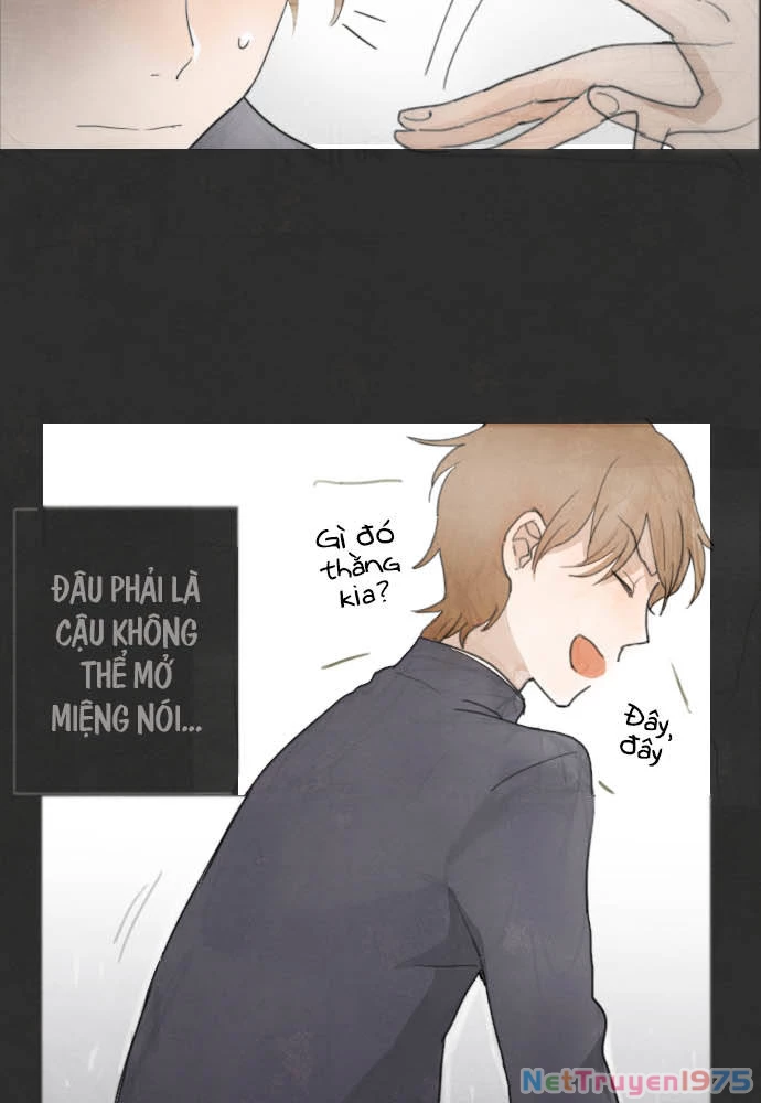 Hoa Cánh Sao Chapter 4 - 12