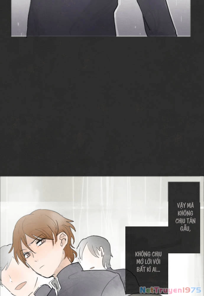 Hoa Cánh Sao Chapter 4 - 13