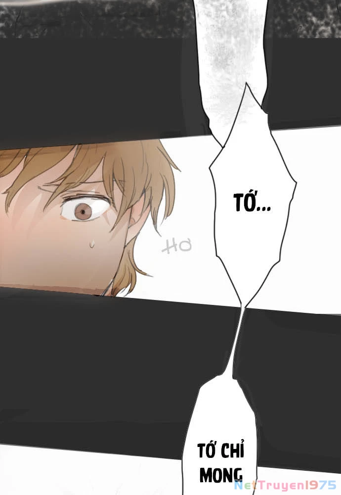 Hoa Cánh Sao Chapter 8 - 66