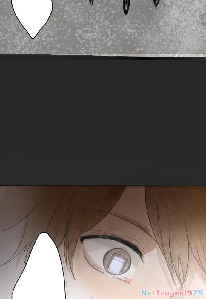 Hoa Cánh Sao Chapter 9 - 83