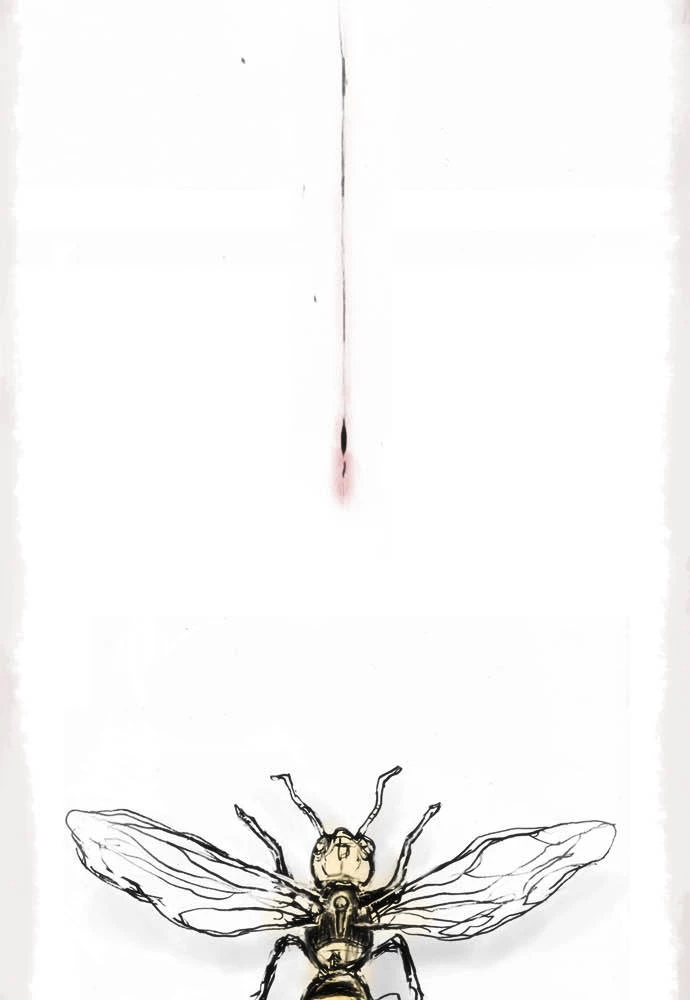 Hoa Cánh Sao Chapter 12 - 8