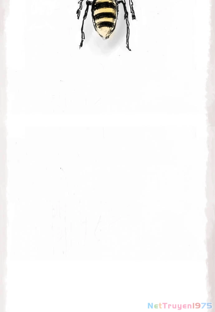 Hoa Cánh Sao Chapter 12 - 9