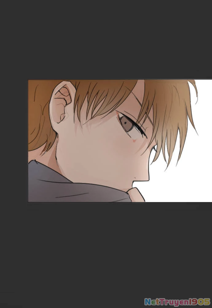 Hoa Cánh Sao Chapter 14 - 10