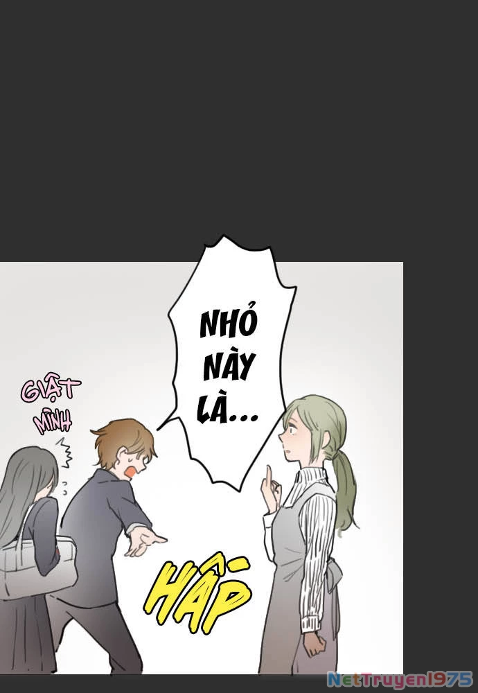 Hoa Cánh Sao Chapter 15 - 12