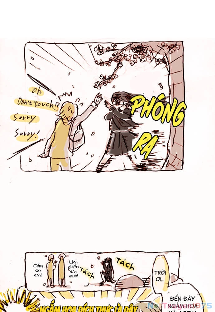 Hoa Cánh Sao Chapter 15 - 53