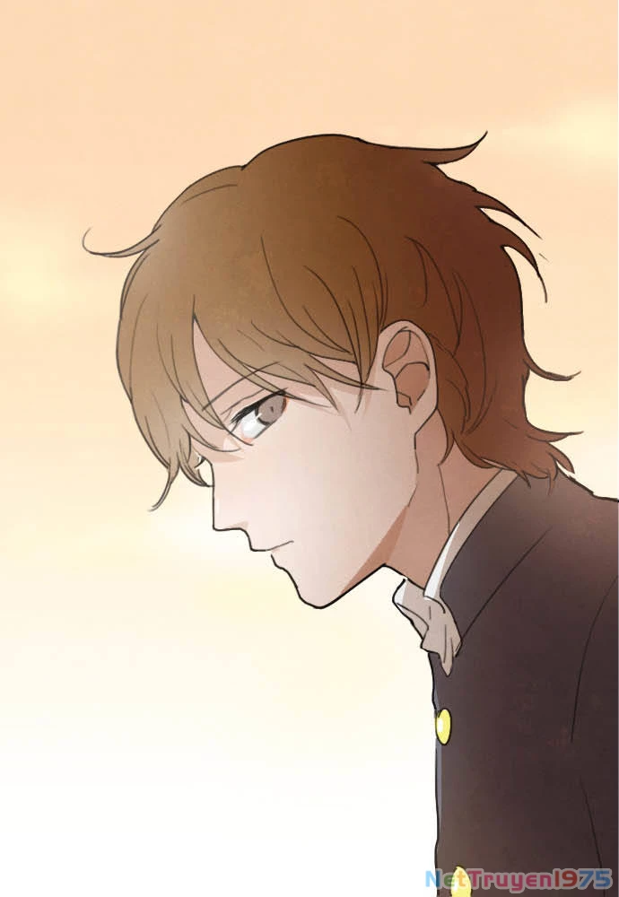 Hoa Cánh Sao Chapter 16 - 34