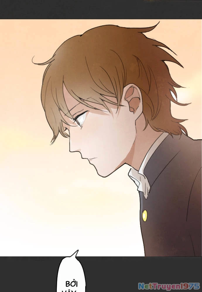 Hoa Cánh Sao Chapter 16 - 35