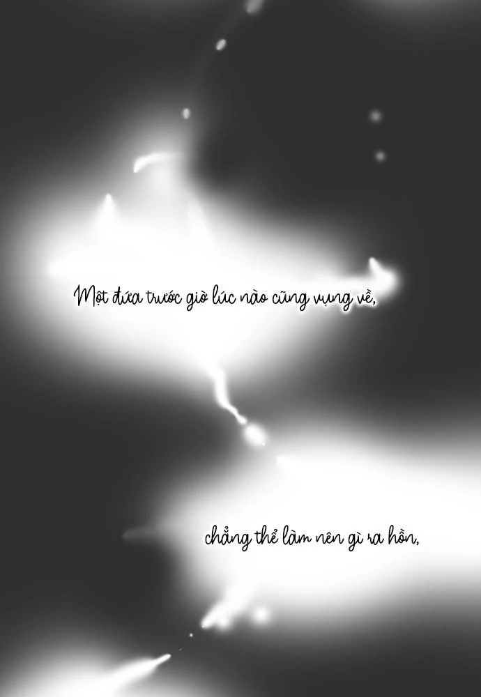 Hoa Cánh Sao Chapter 16 - 43