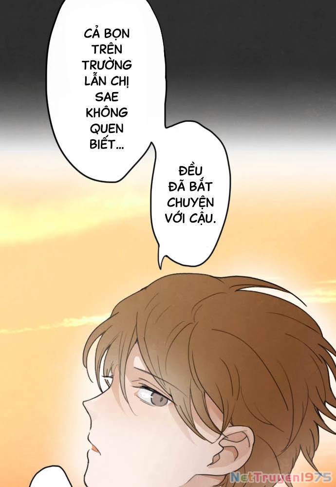 Hoa Cánh Sao Chapter 16 - 49