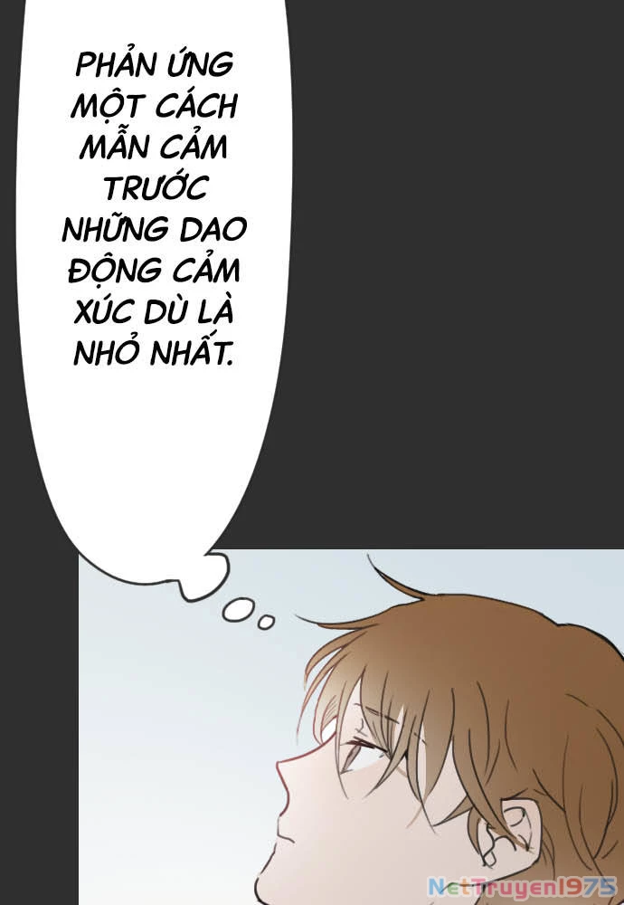 Hoa Cánh Sao Chapter 17 - 40