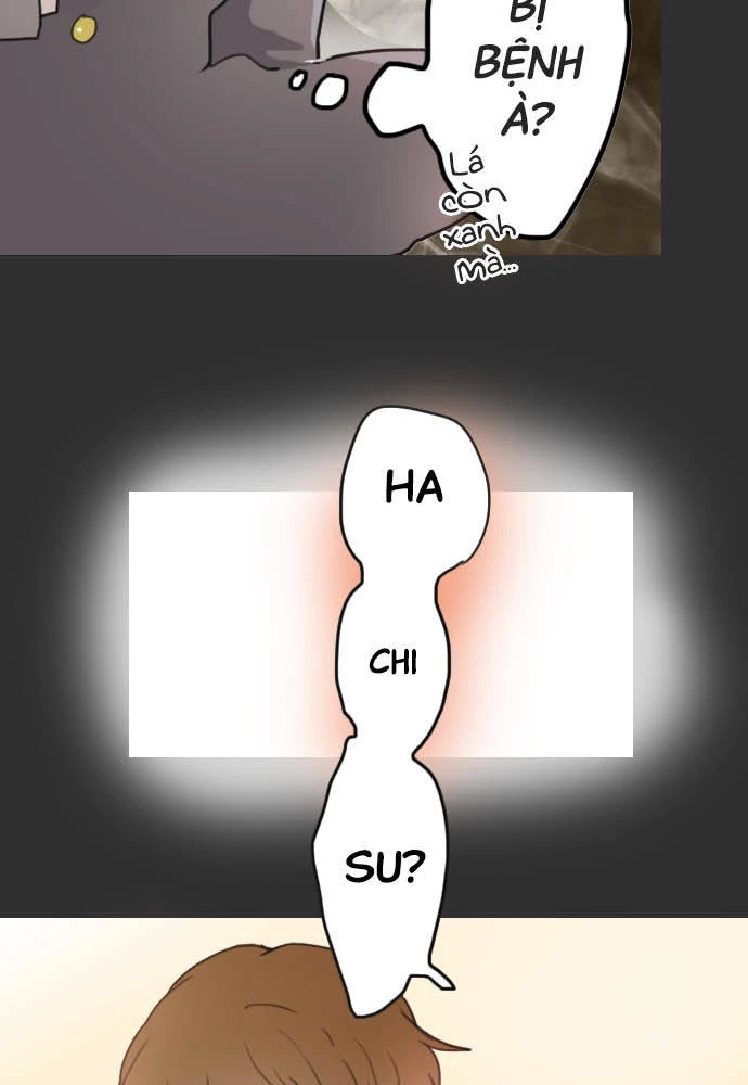 Hoa Cánh Sao Chapter 18 - 35