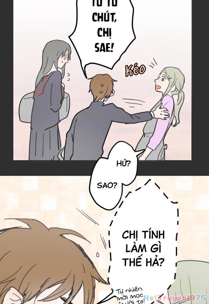 Hoa Cánh Sao Chapter 19 - 17