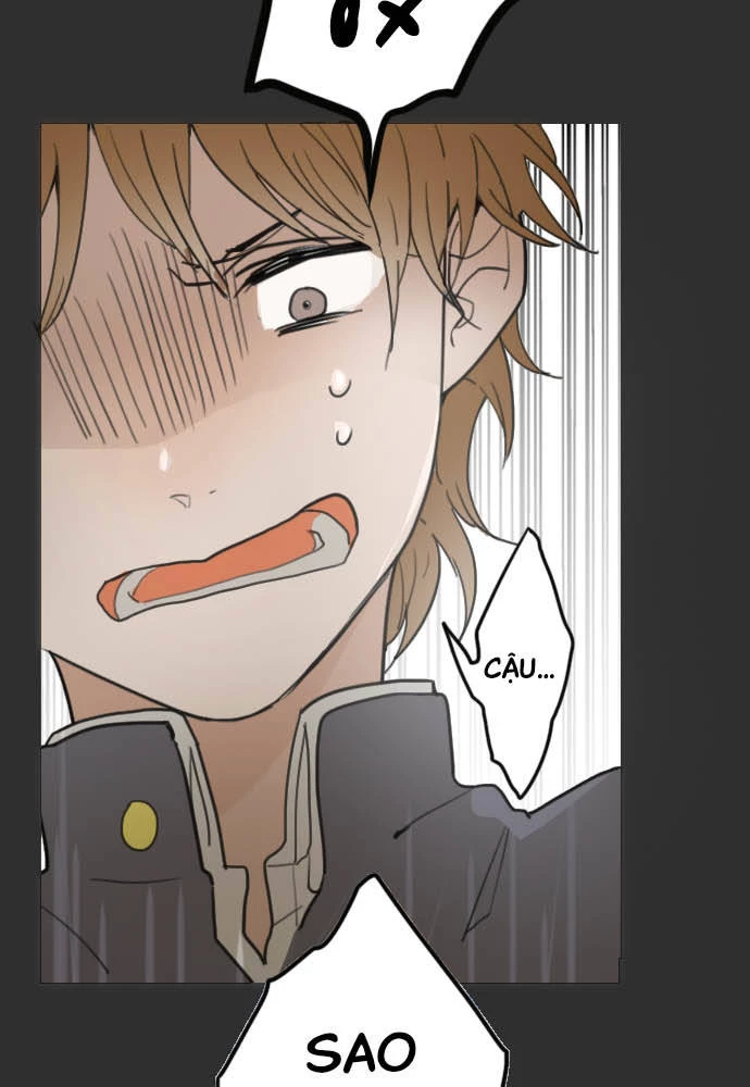 Hoa Cánh Sao Chapter 20 - 30