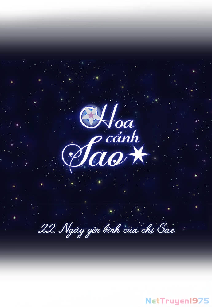 Hoa Cánh Sao Chapter 22 - 12