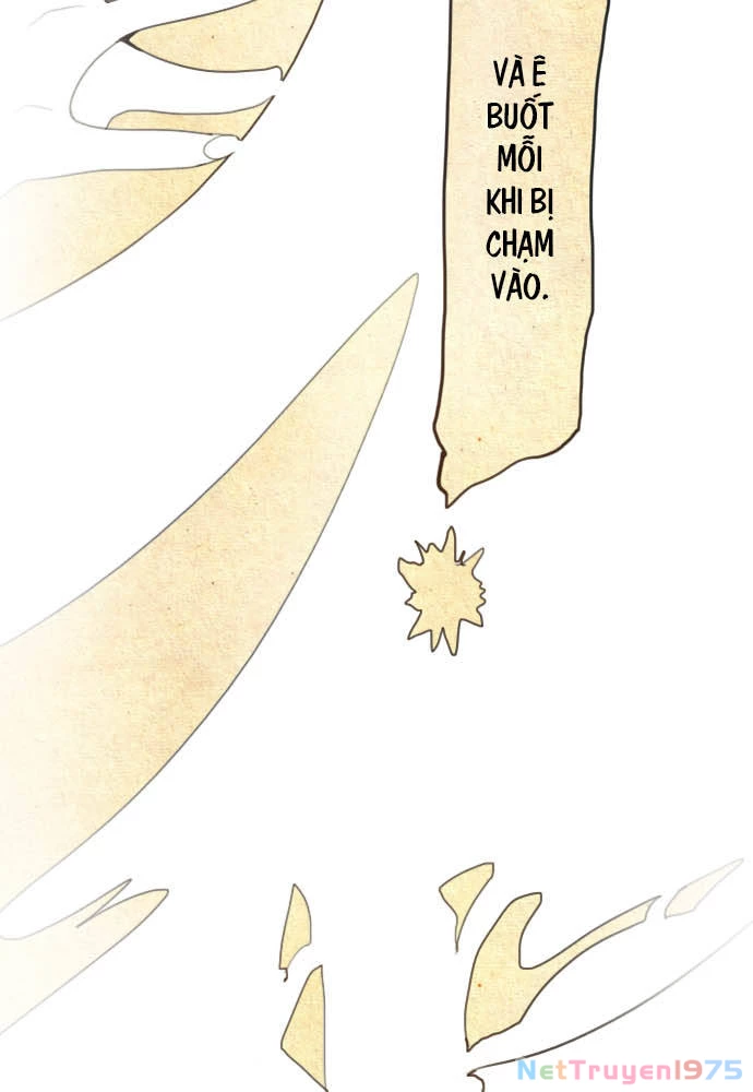 Hoa Cánh Sao Chapter 22 - 78