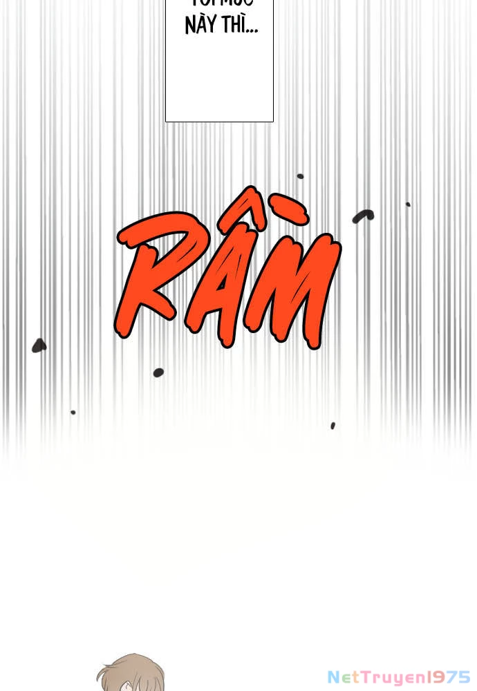 Hoa Cánh Sao Chapter 25 - 59