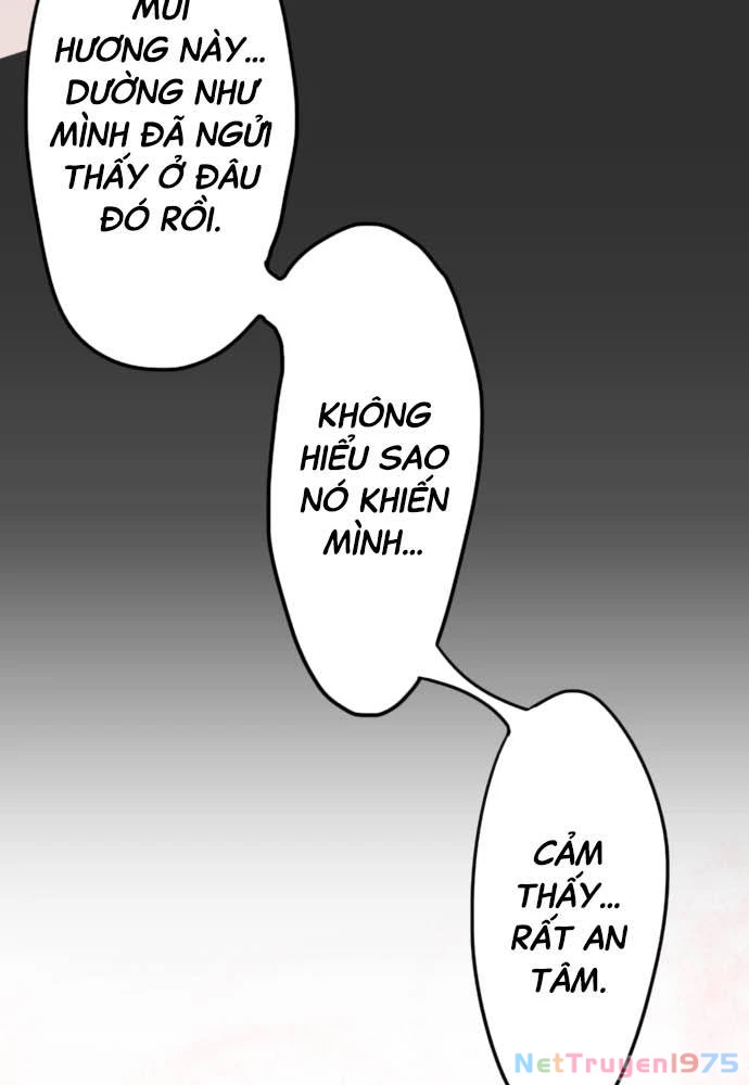 Hoa Cánh Sao Chapter 28 - 15