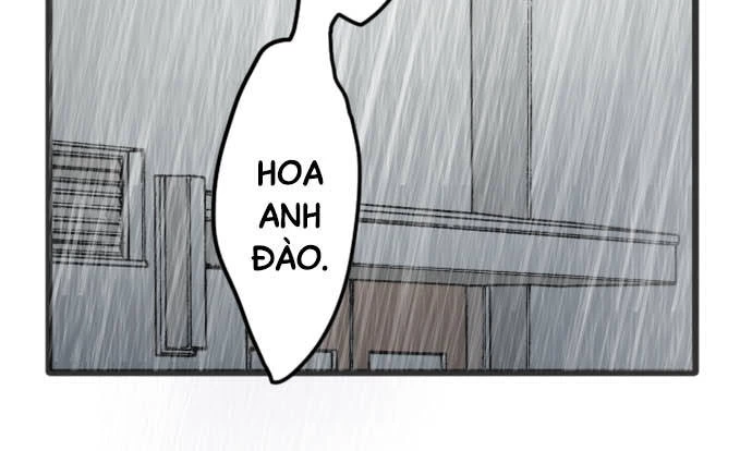 Hoa Cánh Sao Chapter 28 - 22