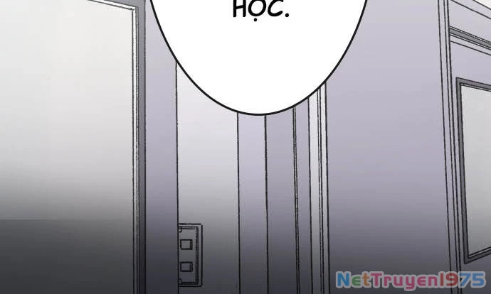 Hoa Cánh Sao Chapter 29 - 33