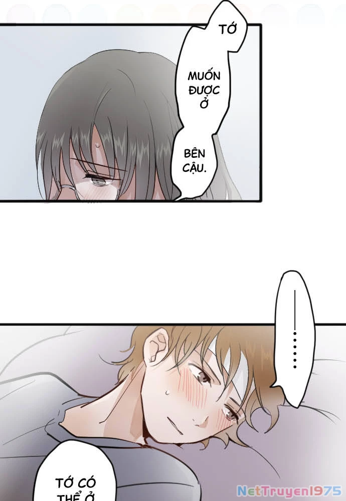 Hoa Cánh Sao Chapter 31 - 41