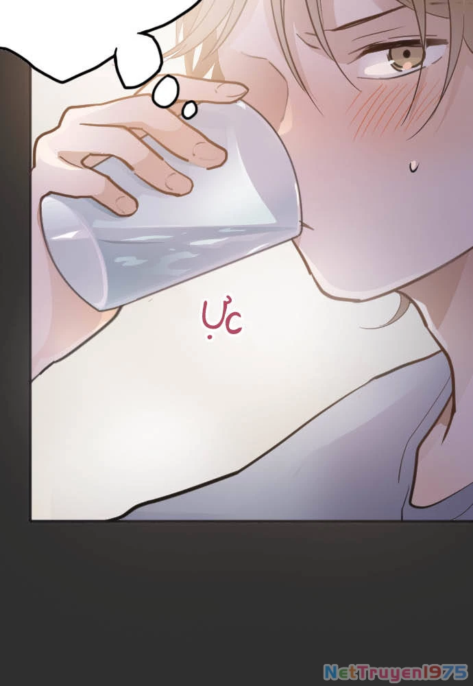 Hoa Cánh Sao Chapter 32 - 36