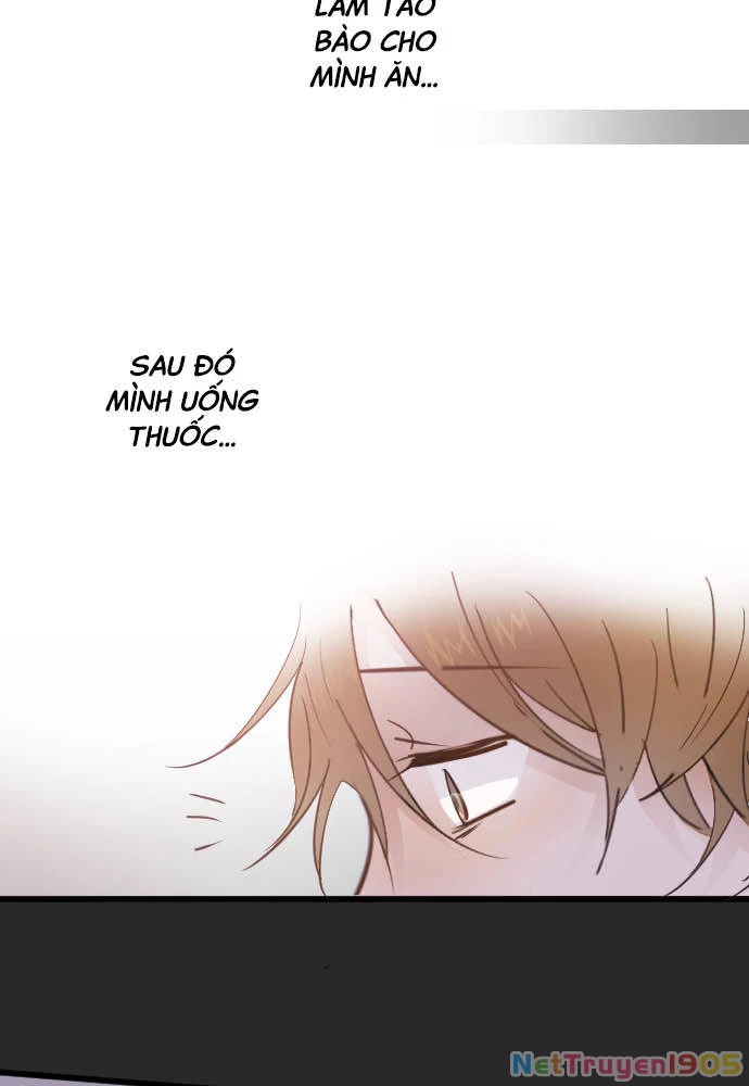 Hoa Cánh Sao Chapter 33 - 24