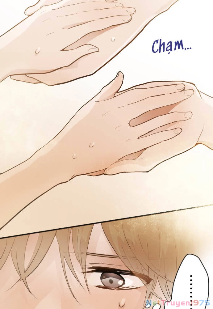 Hoa Cánh Sao Chapter 46 - 26