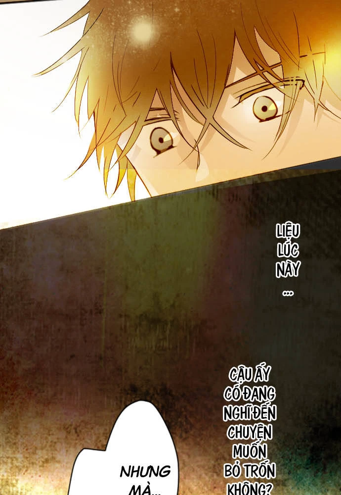Hoa Cánh Sao Chapter 48 - 13