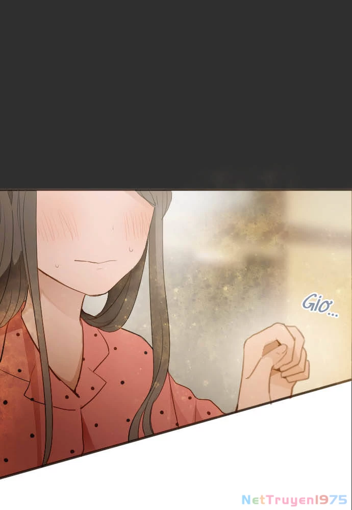 Hoa Cánh Sao Chapter 54 - 12