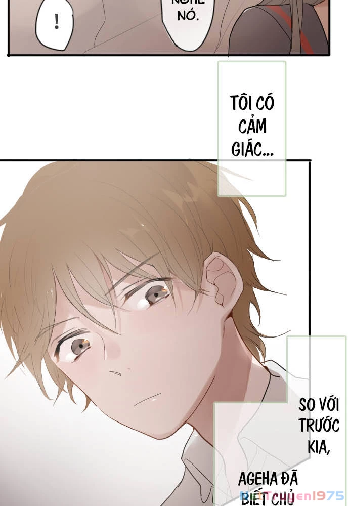 Hoa Cánh Sao Chapter 58 - 27