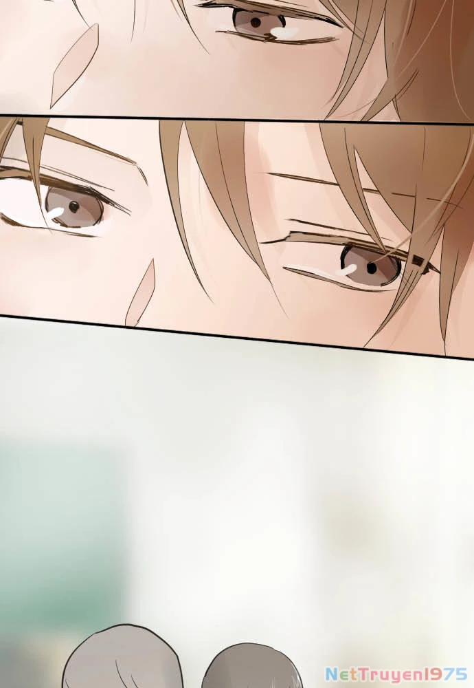 Hoa Cánh Sao Chapter 60 - 8