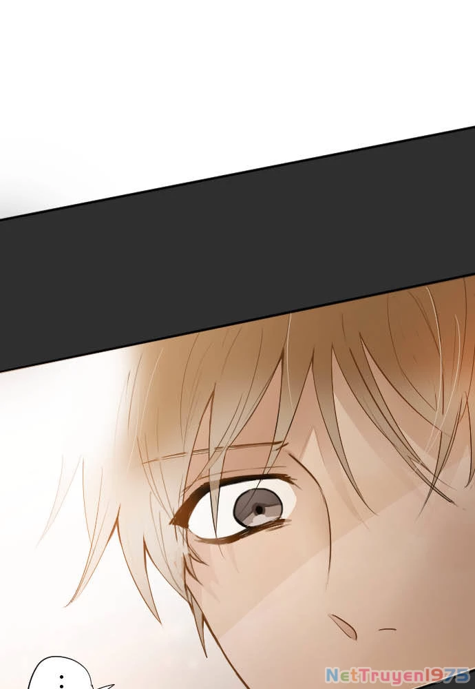 Hoa Cánh Sao Chapter 60 - 46