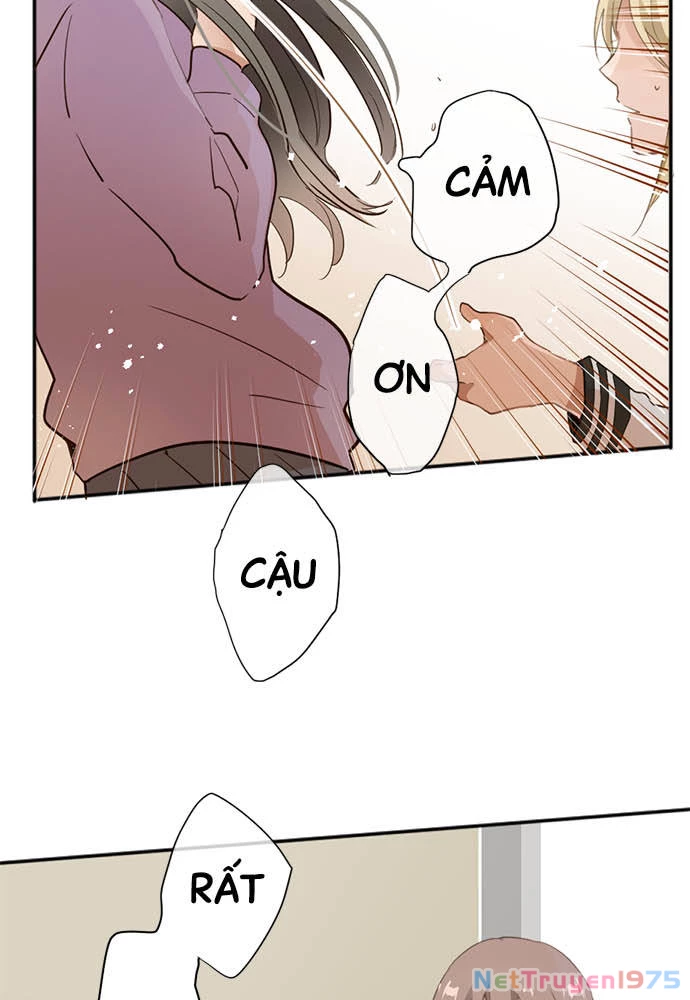 Hoa Cánh Sao Chapter 65 - 15