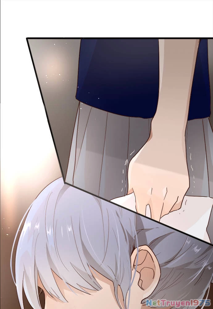 Hoa Cánh Sao Chapter 66 - 23