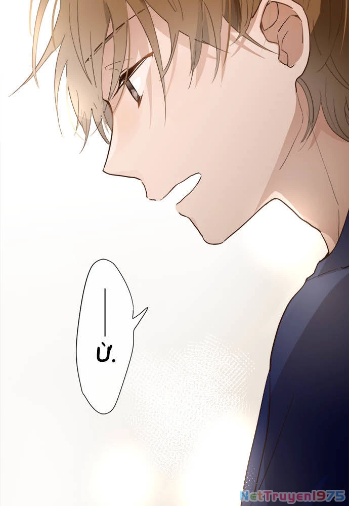Hoa Cánh Sao Chapter 66 - 42