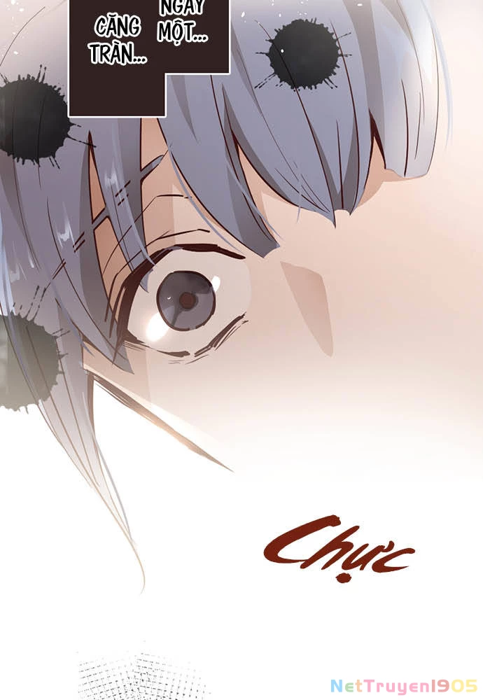 Hoa Cánh Sao Chapter 67 - 61