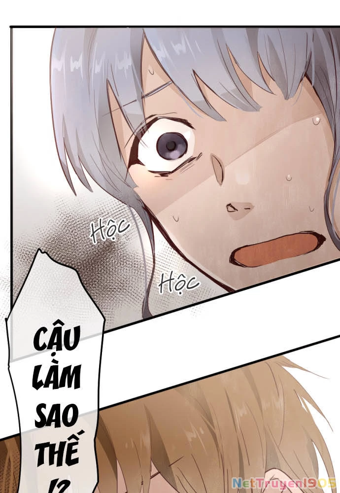 Hoa Cánh Sao Chapter 67 - 66