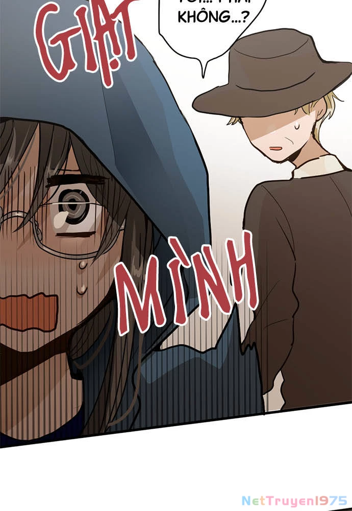 Hoa Cánh Sao Chapter 71 - 10