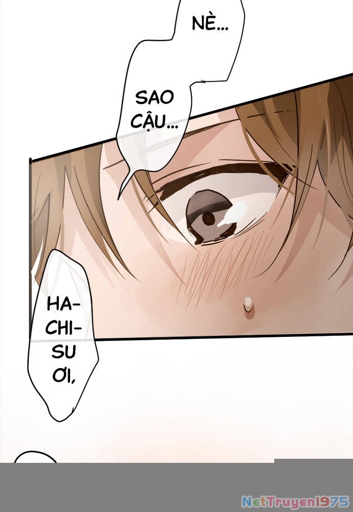 Hoa Cánh Sao Chapter 71 - 30