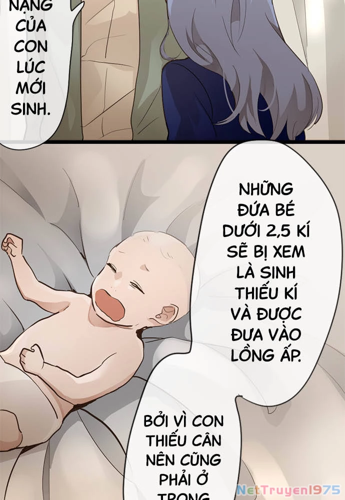 Hoa Cánh Sao Chapter 73 - 29
