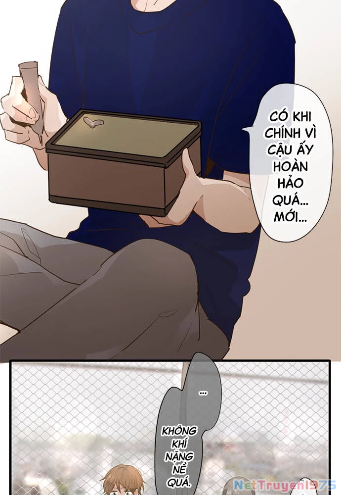 Hoa Cánh Sao Chapter 73 - 49