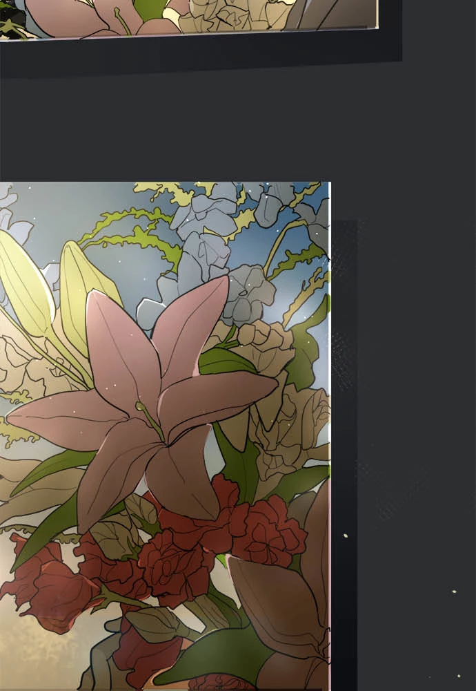 Hoa Cánh Sao Chapter 79 - 25