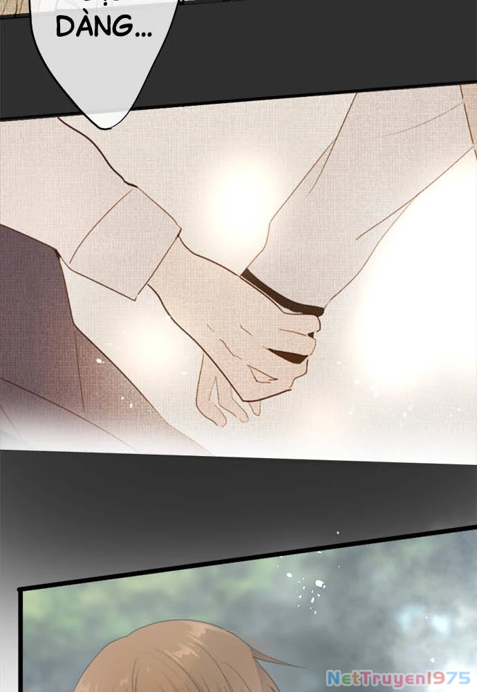 Hoa Cánh Sao Chapter 83 - 17