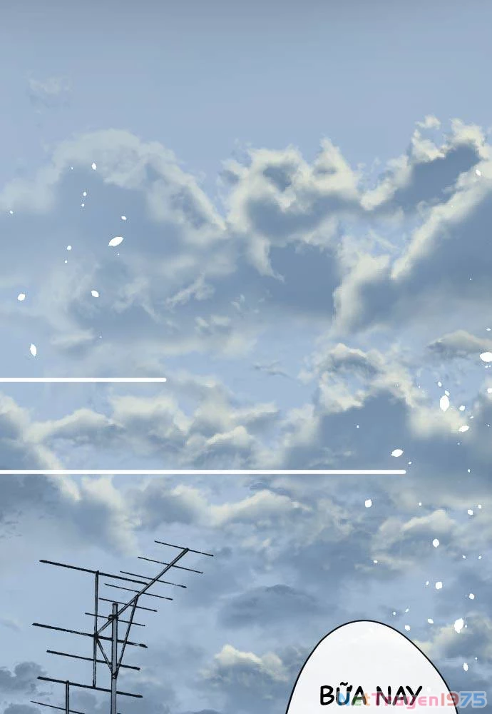 Hoa Cánh Sao Chapter 95 - 15