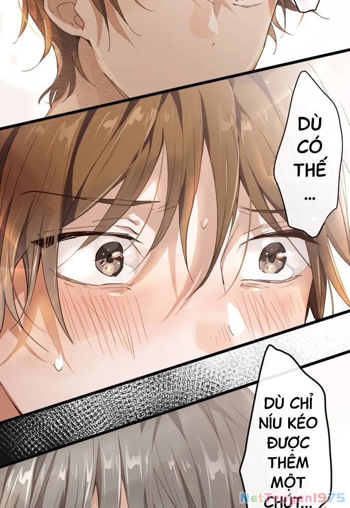 Hoa Cánh Sao Chapter 97 - 51