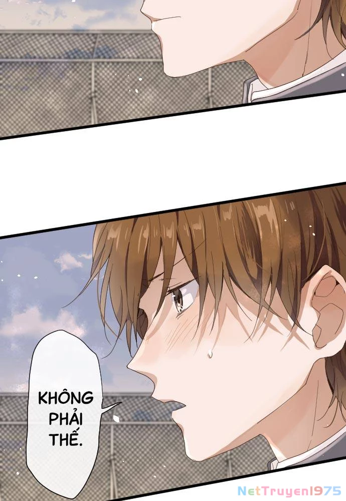 Hoa Cánh Sao Chapter 98 - 13
