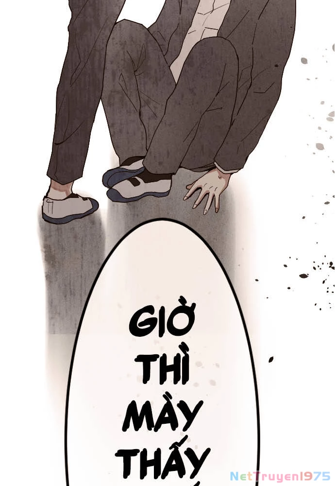 Hoa Cánh Sao Chapter 101 - 4