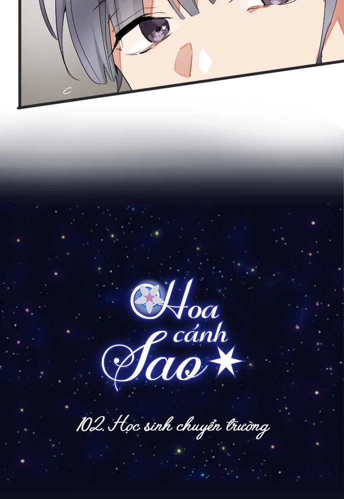 Hoa Cánh Sao Chapter 103 - 11