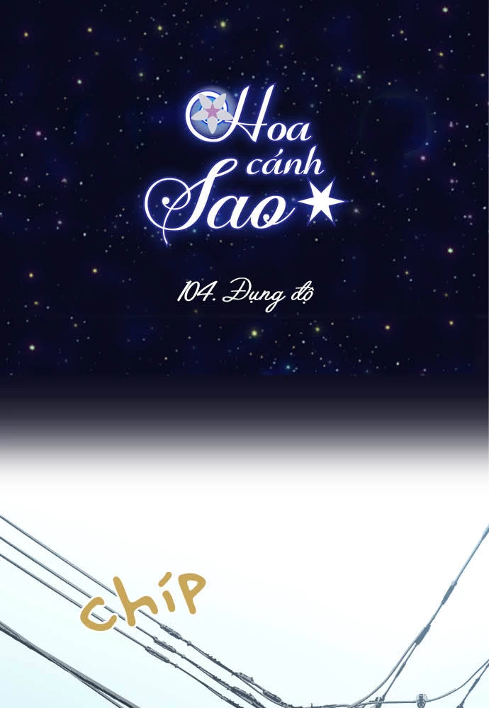 Hoa Cánh Sao Chapter 105 - 16